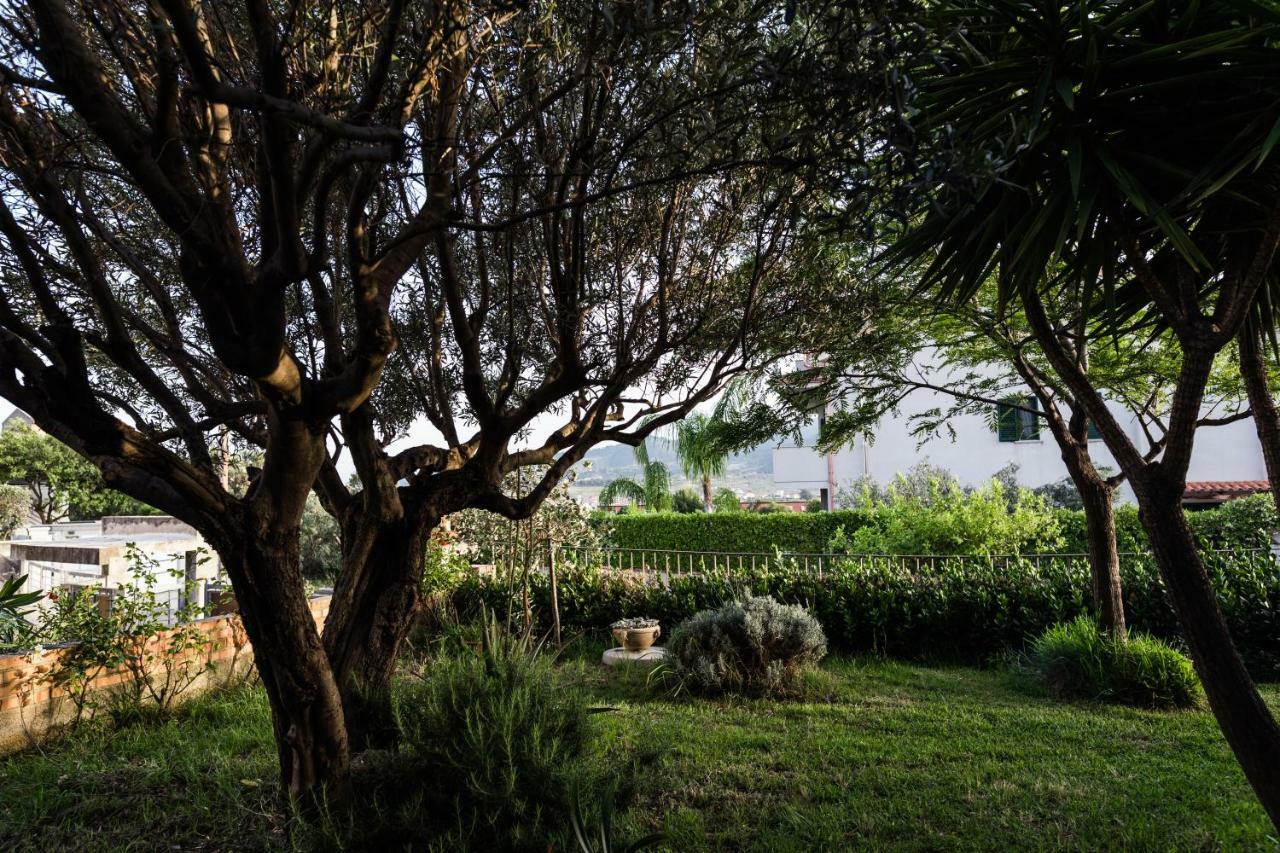 Torre Ancinale Bed & Breakfast Soverato Marina Exterior photo